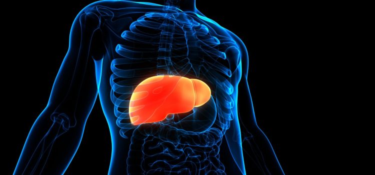 RELACION ENTRE OBESIDAD-HÍGADO GRADO Y CÁNCER DE COLON
