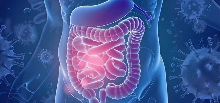 TIROIDES Y MICROBIOTA INTESTINAL