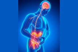 EL EJE INTESTINO CEREBRO