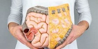 GRASA CORPORAL, ¿Qué es?